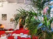 Fengshuimeisterei - Energetisches Feng Shui