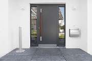 Fensterfalke - 1