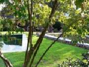 Ferchland Garten- und Landschaftsbau GmbH - Schwimmteich