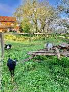 Feriendorf Schwarzholz - 7