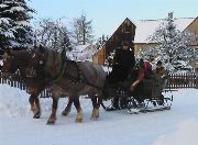 eine romantische Pferdeschlittenfahrt hinein in den tiefverschneiten Winterwald - Ferienhaus Erzgebirge Familie Ziller, Crottendorf