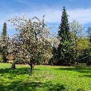 Ferienhaus Sommer - GALLERY