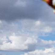 Ferienhausverwaltung & Vermietung AllerleiMeer - GALLERY