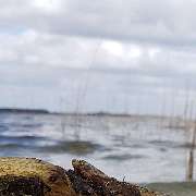 Ferienhausverwaltung & Vermietung AllerleiMeer - GALLERY