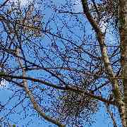 Ferienhausverwaltung & Vermietung AllerleiMeer - GALLERY