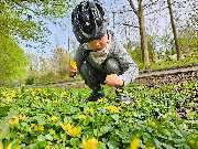 Ferienhausverwaltung & Vermietung AllerleiMeer - GALLERY