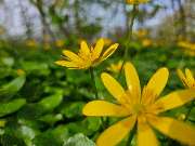Ferienhausverwaltung & Vermietung AllerleiMeer - GALLERY
