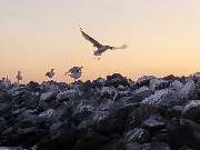 Ferienhausverwaltung & Vermietung AllerleiMeer - GALLERY