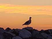 Ferienhausverwaltung & Vermietung AllerleiMeer - GALLERY