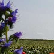 Ferienhausverwaltung & Vermietung AllerleiMeer - GALLERY