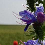 Ferienhausverwaltung & Vermietung AllerleiMeer - GALLERY