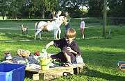 Ferienhof Bruns - 14