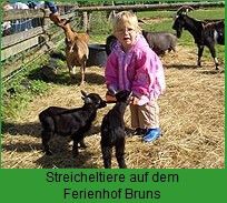 Ferienhof Bruns - 5