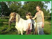 Ferienhof Bruns - 6