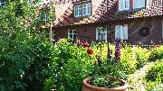 Ferienhof Pusteblume - 1