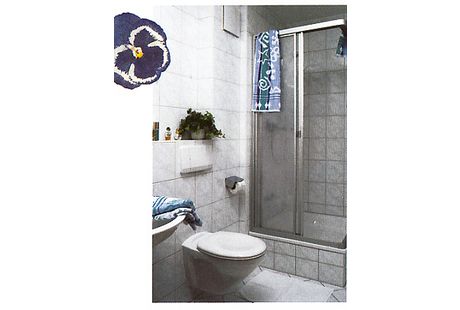 Ferienhof Rieger mit Hofmetzgerei - GALLERY