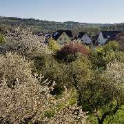Ferienwohnung Weitblick Weikersheim - GALLERY