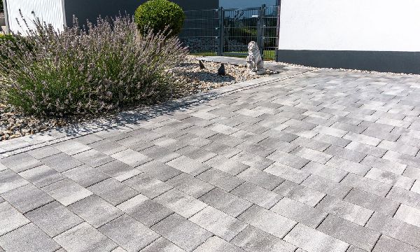 Festner GmbH - GALLERY