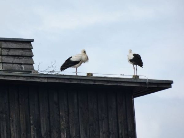 Fewo am Schloss - GALLERY