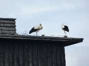 Fewo am Schloss - GALLERY