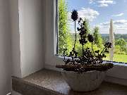 Fewo-Sorpecoast - GALLERY