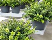 F&F Haus und Gartenservice - 3