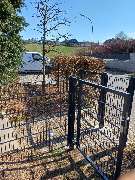 FH Gartenlandschaftsbau / Hausmeisterservice - 20250321_134802.jpg