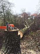 FH Gartenlandschaftsbau / Hausmeisterservice - 7