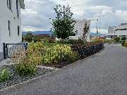 FH Gartenlandschaftsbau / Hausmeisterservice - thumbnail_20240912_113024.jpg