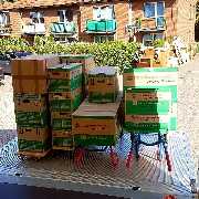 FH Transporte Frank Hofmann - GALLERY