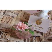 FIAROVANA cosmetics by conni - GALLERY