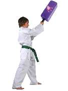 Fightstuff24 - 2045