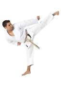 Fightstuff24 - 626