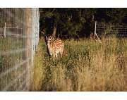 Filzenklas Waldgaststätte - GALLERY