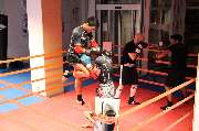 Final Fighters Gym Zwickau e.V. - GALLERY