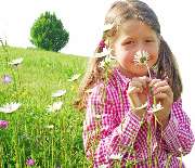 Fischer Karl - GALLERY