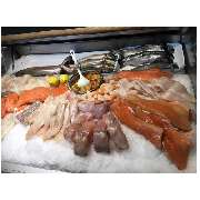 Fischerei Schlamp Inh. Victoria Wesselmann - GALLERY