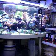 Aquarium 2