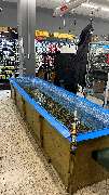 Fisherman´s Partner Angler-Fachmarkt - GALLERY