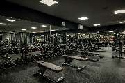 Fitness First Bad Rappenau - Fitness First Bad Rappenau - Freeweight Area