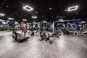 Fitness First Berlin - Wilmersdorf - Fitness First Berlin Wilmersdorf - Cardiogeräte