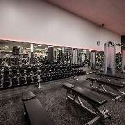 Fitness First Darmstadt - Neckarstraße - Fitness First Darmstadt - Freihantelbereich