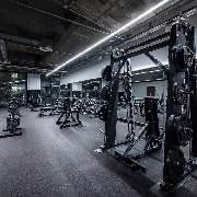 Fitness First Mannheim – Im Quartier - Fitness First Mannheim im Quartier - Freihantelbereich