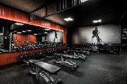 Fitness First Mannheim - Sandhofen - Fitness First Mannheim Sandhofen - Freeweight Area