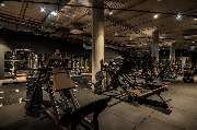 Fitness First München - DER Bogen (ehemals ELBGYM) - Fitness First München DER Bogen - Plate-loaded Machines