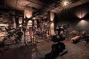 Fitness First München - Hofstatt (ehemals ELBGYM) - Fitness First München Hofstatt - Plate-loaded Machines
