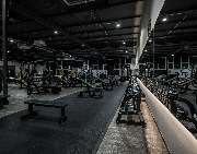 Fitness First Trier West - Fitness First Trier West - Hanteltraining