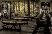 Fitness First Wäschenbeuren - Fitness First Wäschenbeuren - Freeweight Area