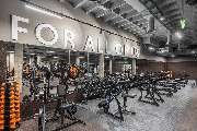 FitX Essen-Limbecker Platz - GALLERY