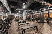 FitX München-Lenbachplatz - GALLERY